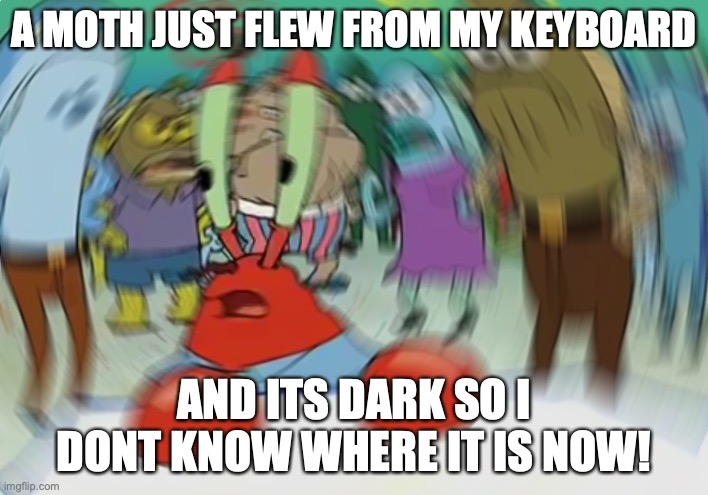Im not even sure where to post this one... | A MOTH JUST FLEW FROM MY KEYBOARD; AND ITS DARK SO I DONT KNOW WHERE IT IS NOW! | image tagged in memes,moths,dark,nighttime,finals tomorrow,wish me luck | made w/ Imgflip meme maker