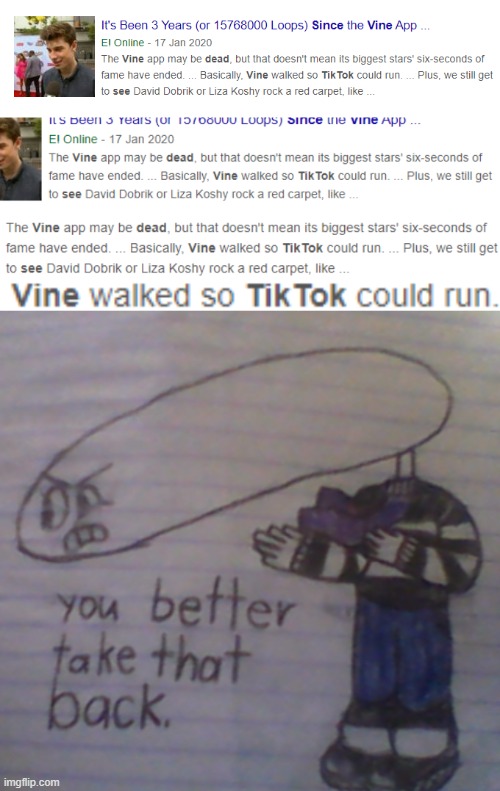 Ok, what the hell, Tik Tok is not the new vine, IT'S STILL TRASH | image tagged in you better take that back,memes,why | made w/ Imgflip meme maker