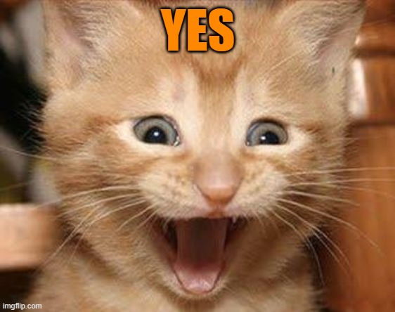 Excited Cat Meme | YES | image tagged in memes,excited cat | made w/ Imgflip meme maker