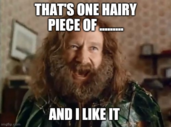 What Year Is It Meme | THAT'S ONE HAIRY PIECE OF ......... AND I LIKE IT | image tagged in memes,what year is it | made w/ Imgflip meme maker