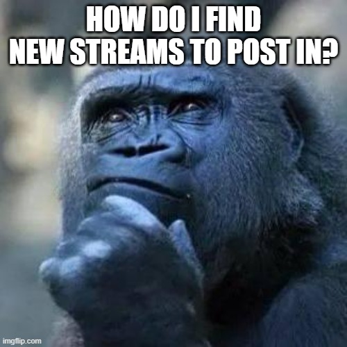 How do I find more streams to post in. | HOW DO I FIND NEW STREAMS TO POST IN? | image tagged in thinking ape,memes,funny,imgflip | made w/ Imgflip meme maker