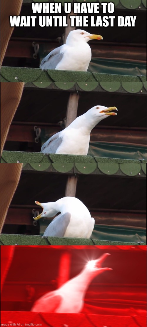 School be like | WHEN U HAVE TO WAIT UNTIL THE LAST DAY | image tagged in memes,inhaling seagull | made w/ Imgflip meme maker