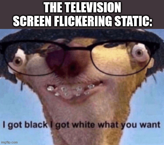 Ha, just came to me | THE TELEVISION SCREEN FLICKERING STATIC: | image tagged in i got black i got white what ya want,memes,tv,static | made w/ Imgflip meme maker