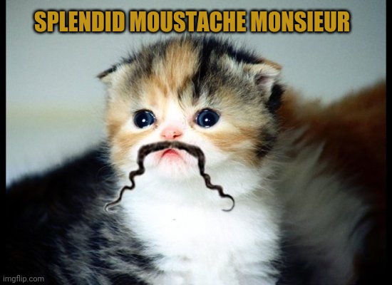 SPLENDID MOUSTACHE MONSIEUR | made w/ Imgflip meme maker