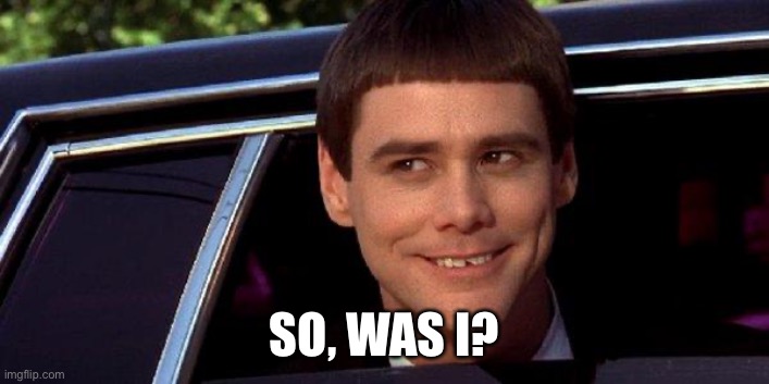 dumb and dumber | SO, WAS I? | image tagged in dumb and dumber | made w/ Imgflip meme maker