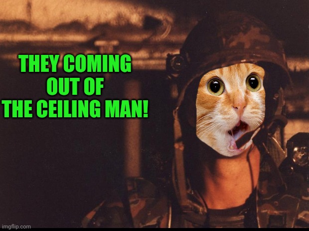 THEY COMING OUT OF THE CEILING MAN! | made w/ Imgflip meme maker