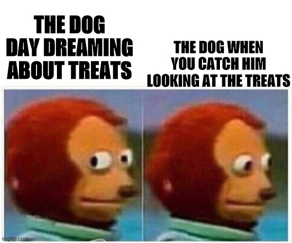 Monkey Puppet | THE DOG WHEN YOU CATCH HIM LOOKING AT THE TREATS; THE DOG DAY DREAMING ABOUT TREATS | image tagged in memes,monkey puppet | made w/ Imgflip meme maker