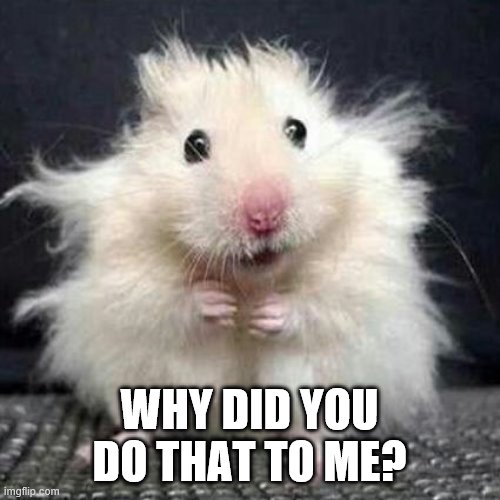 Stressed Mouse | WHY DID YOU DO THAT TO ME? | image tagged in stressed mouse | made w/ Imgflip meme maker