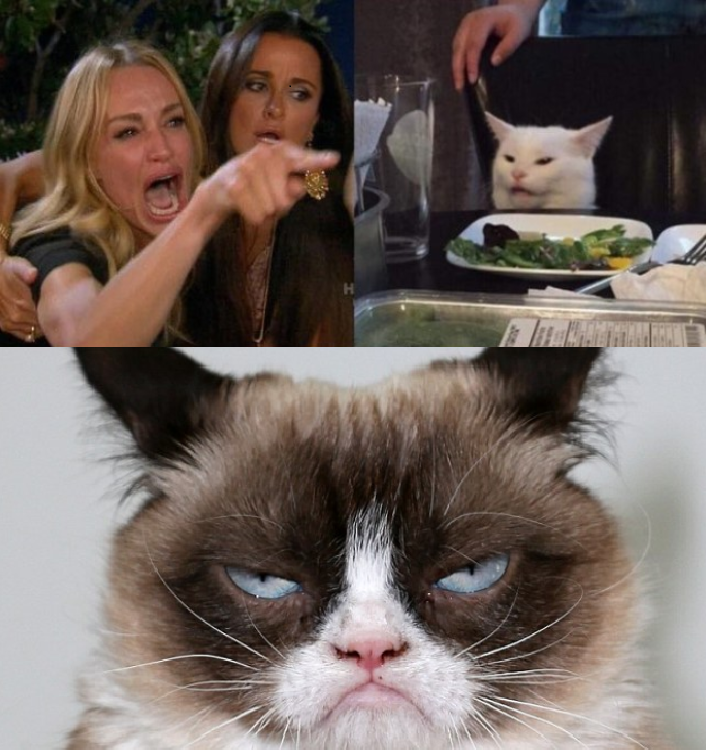 Grumpy Cat Meme Generator - Imgflip