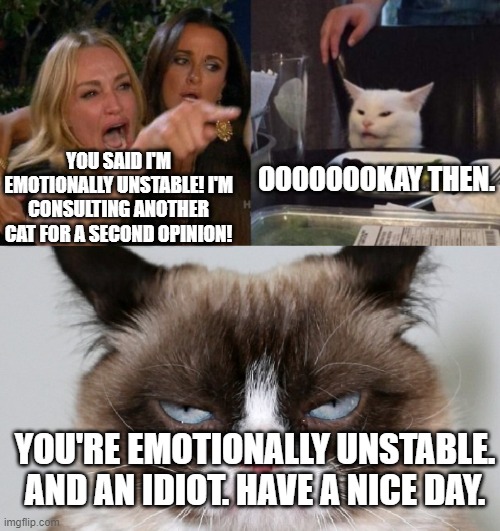 Karen wants a second opinion | OOOOOOOKAY THEN. YOU SAID I'M EMOTIONALLY UNSTABLE! I'M CONSULTING ANOTHER CAT FOR A SECOND OPINION! YOU'RE EMOTIONALLY UNSTABLE. AND AN IDIOT. HAVE A NICE DAY. | image tagged in karen smudge and grumpycat | made w/ Imgflip meme maker