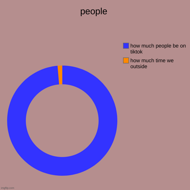 people | how much time we outside, how much people be on tiktok | image tagged in charts,donut charts | made w/ Imgflip chart maker