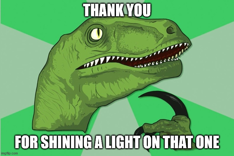 new philosoraptor | THANK YOU FOR SHINING A LIGHT ON THAT ONE | image tagged in new philosoraptor | made w/ Imgflip meme maker