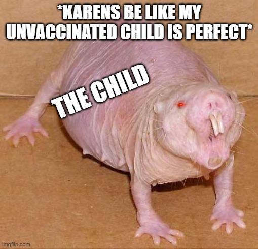 I WaNt To SeE tHe MaNaGeR !! | *KARENS BE LIKE MY UNVACCINATED CHILD IS PERFECT*; THE CHILD | image tagged in naked mole rat | made w/ Imgflip meme maker