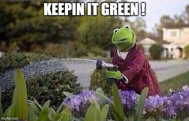 keeping it green ! | KEEPIN IT GREEN ! | image tagged in kermit watering plants | made w/ Imgflip meme maker