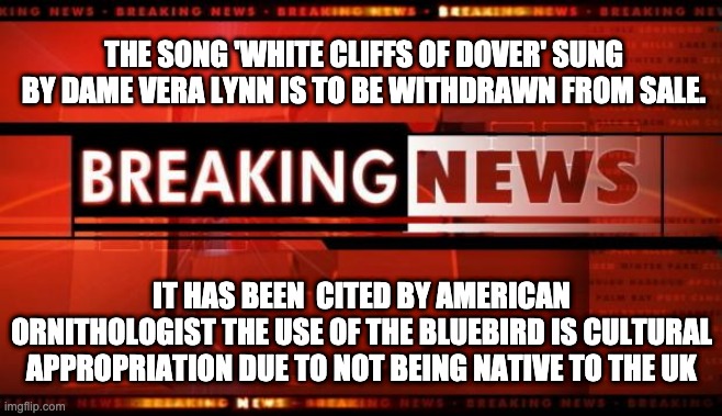 Bluebird |  THE SONG 'WHITE CLIFFS OF DOVER' SUNG BY DAME VERA LYNN IS TO BE WITHDRAWN FROM SALE. IT HAS BEEN  CITED BY AMERICAN ORNITHOLOGIST THE USE OF THE BLUEBIRD IS CULTURAL APPROPRIATION DUE TO NOT BEING NATIVE TO THE UK | image tagged in breaking news,vera lynn,bluebird,white cliffs of dover,cultural appropriation | made w/ Imgflip meme maker