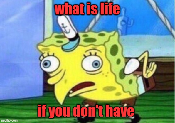 Mocking Spongebob | what is life; if you don't have | image tagged in memes,mocking spongebob | made w/ Imgflip meme maker