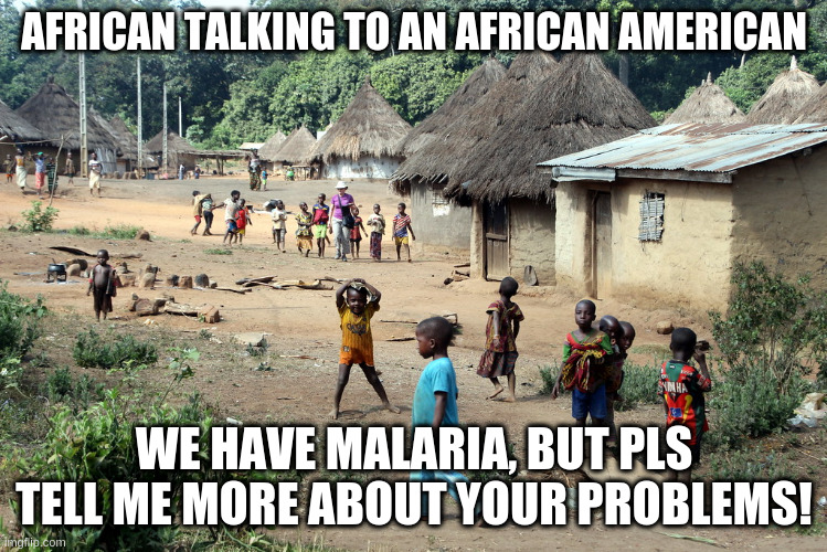 Reality is a bitch ain't it? | AFRICAN TALKING TO AN AFRICAN AMERICAN; WE HAVE MALARIA, BUT PLS TELL ME MORE ABOUT YOUR PROBLEMS! | image tagged in africa | made w/ Imgflip meme maker