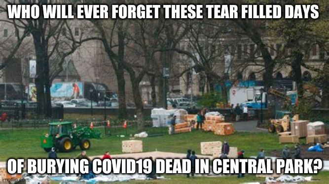 Are you sure that isn't a picture of setting up a Simon and Garfunkel reunion concert. Oh- same difference. | WHO WILL EVER FORGET THESE TEAR FILLED DAYS; OF BURYING COVID19 DEAD IN CENTRAL PARK? | image tagged in fake bodies,central park cemetery | made w/ Imgflip meme maker