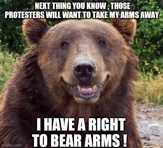 Bear arms | NEXT THING YOU KNOW , THOSE PROTESTERS WILL WANT TO TAKE MY ARMS AWAY; I HAVE A RIGHT TO BEAR ARMS ! | image tagged in bear | made w/ Imgflip meme maker