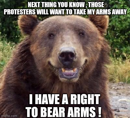 Why Is The Right To Keep And Bear Arms Important