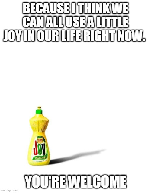 A little Joy | BECAUSE I THINK WE CAN ALL USE A LITTLE JOY IN OUR LIFE RIGHT NOW. YOU'RE WELCOME | image tagged in funny memes | made w/ Imgflip meme maker