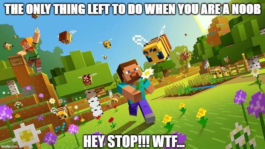 WTF... | THE ONLY THING LEFT TO DO WHEN YOU ARE A NOOB; HEY STOP!!! WTF... | image tagged in minecraft | made w/ Imgflip meme maker