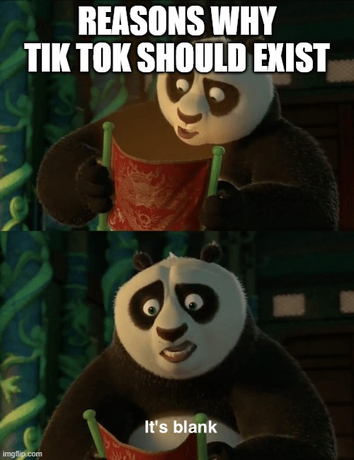 Kung Fu Panda blank | REASONS WHY TIK TOK SHOULD EXIST | image tagged in kung fu panda blank | made w/ Imgflip meme maker