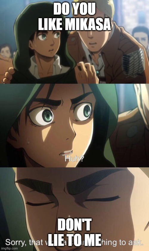 Strange question attack on titan | DO YOU LIKE MIKASA; DON'T LIE TO ME | image tagged in strange question attack on titan | made w/ Imgflip meme maker