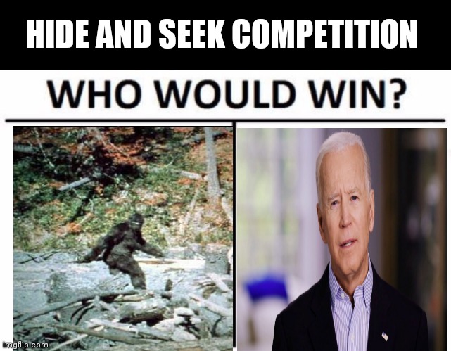Who Would Win? Meme | HIDE AND SEEK COMPETITION | image tagged in memes,who would win | made w/ Imgflip meme maker