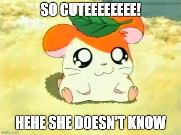 Hamtaro | SO CUTEEEEEEEE! HEHE SHE DOESN'T KNOW | image tagged in memes,hamtaro | made w/ Imgflip meme maker