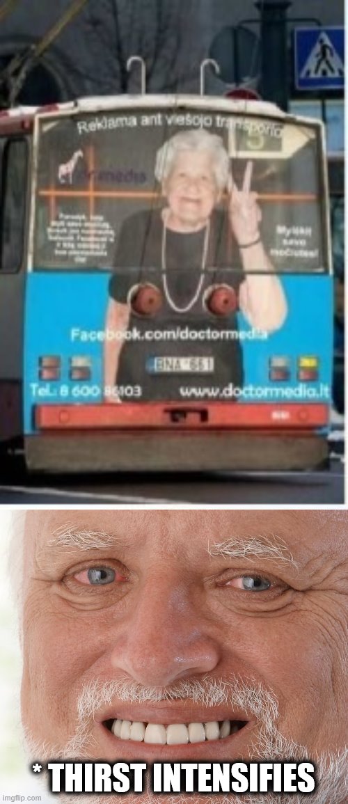 * THIRST INTENSIFIES | image tagged in hide the pain harold,memes,thirst intensifies,bus wtf,old lady | made w/ Imgflip meme maker
