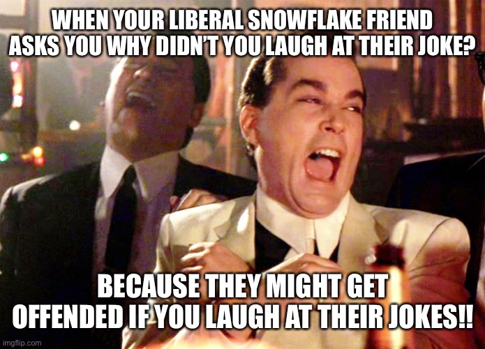 Liberal joke | WHEN YOUR LIBERAL SNOWFLAKE FRIEND ASKS YOU WHY DIDN’T YOU LAUGH AT THEIR JOKE? BECAUSE THEY MIGHT GET OFFENDED IF YOU LAUGH AT THEIR JOKES!! | image tagged in memes,good fellas hilarious,liberals,snowflake,sjw,triggered feminist | made w/ Imgflip meme maker