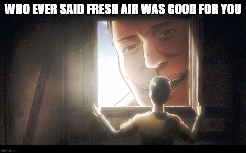 Attack on Titans | WHO EVER SAID FRESH AIR WAS GOOD FOR YOU | image tagged in attack on titans | made w/ Imgflip meme maker