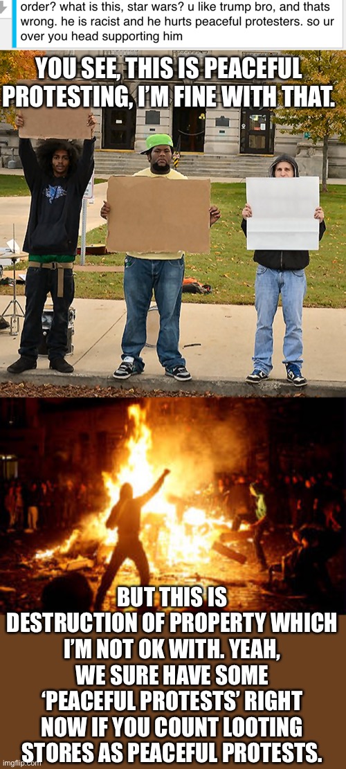 No, your wrong. | YOU SEE, THIS IS PEACEFUL PROTESTING, I’M FINE WITH THAT. BUT THIS IS DESTRUCTION OF PROPERTY WHICH I’M NOT OK WITH. YEAH, WE SURE HAVE SOME ‘PEACEFUL PROTESTS’ RIGHT NOW IF YOU COUNT LOOTING STORES AS PEACEFUL PROTESTS. | image tagged in anarchy riot,3 demonstrators holding signs | made w/ Imgflip meme maker
