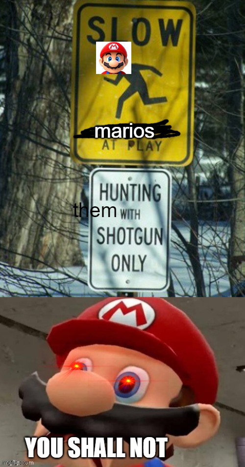 NOOOO | marios; them; YOU SHALL NOT | image tagged in mario,whyy,stop reading the tags,why are you reading the tags,seriously why | made w/ Imgflip meme maker