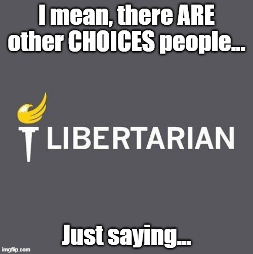 Vote 3rd | image tagged in libertarian | made w/ Imgflip meme maker