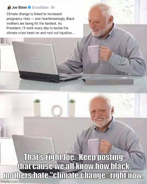 I almost spit out my covfefe! | That's right Joe.  Keep posting that cause we all know how black mothers hate "climate change" right now. | image tagged in memes,hide the pain harold,politics,political meme,joe biden | made w/ Imgflip meme maker