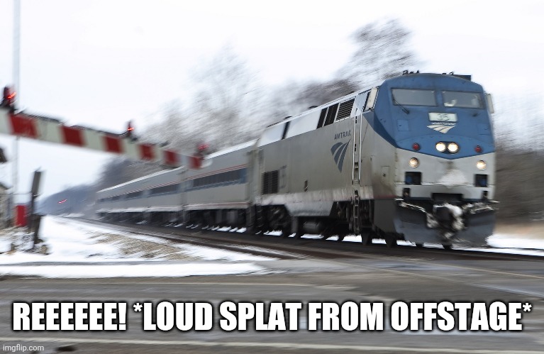 Fast amtrak | REEEEEE! *LOUD SPLAT FROM OFFSTAGE* | image tagged in fast amtrak | made w/ Imgflip meme maker