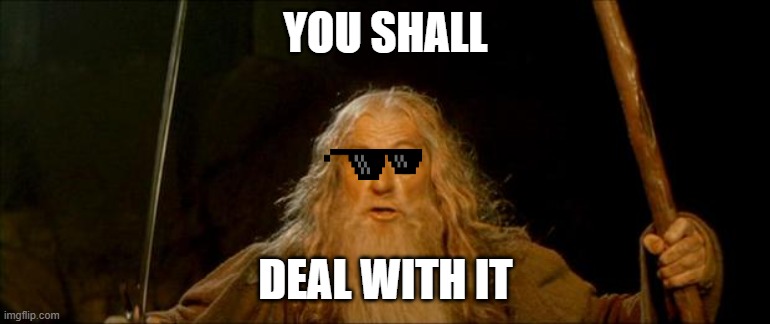 gandalf you shall not pass | YOU SHALL; DEAL WITH IT | image tagged in gandalf you shall not pass | made w/ Imgflip meme maker