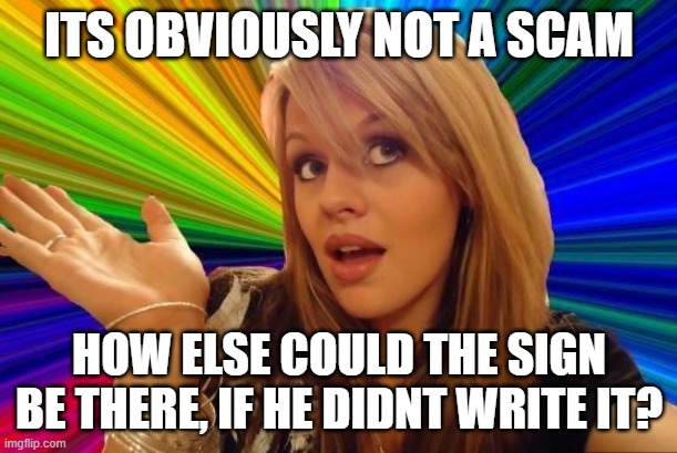Dumb Blonde Meme | ITS OBVIOUSLY NOT A SCAM HOW ELSE COULD THE SIGN BE THERE, IF HE DIDNT WRITE IT? | image tagged in memes,dumb blonde | made w/ Imgflip meme maker