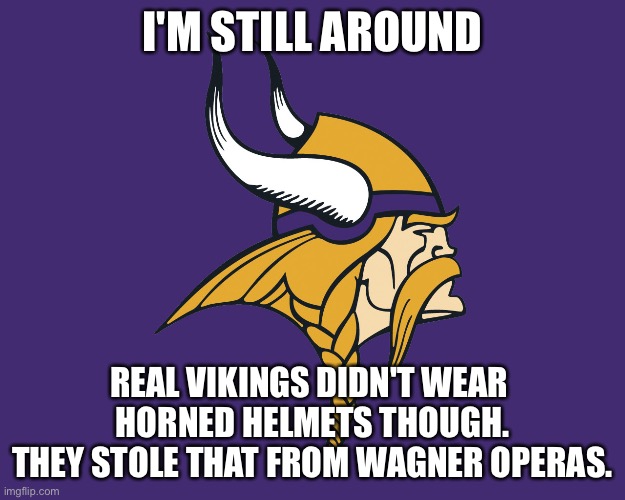 Minnesota Vikings | I'M STILL AROUND REAL VIKINGS DIDN'T WEAR 
HORNED HELMETS THOUGH.
THEY STOLE THAT FROM WAGNER OPERAS. | image tagged in minnesota vikings | made w/ Imgflip meme maker