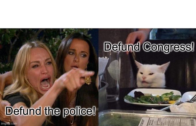 Defund | Defund Congress! Defund the police! | image tagged in memes,woman yelling at cat | made w/ Imgflip meme maker