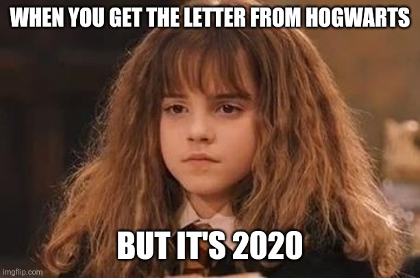 Stayamus athomus | WHEN YOU GET THE LETTER FROM HOGWARTS; BUT IT'S 2020 | image tagged in harry potter - miss granger is not amused | made w/ Imgflip meme maker