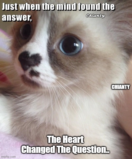 Answer | 𝓒𝓱𝓲𝓪𝓷𝓽𝔂; The Heart Changed The Question.. | image tagged in question | made w/ Imgflip meme maker