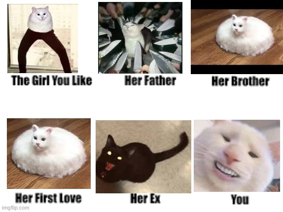 lov | image tagged in curse,cats,love | made w/ Imgflip meme maker