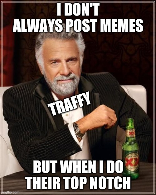 Funny meme | I DON'T ALWAYS POST MEMES; TRAFFY; BUT WHEN I DO THEIR TOP NOTCH | image tagged in memes,the most interesting man in the world | made w/ Imgflip meme maker