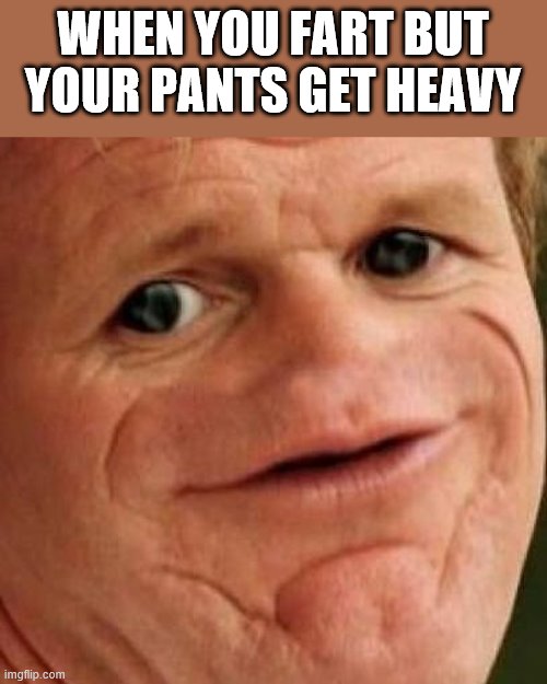 SOSIG |  WHEN YOU FART BUT YOUR PANTS GET HEAVY | image tagged in sosig | made w/ Imgflip meme maker