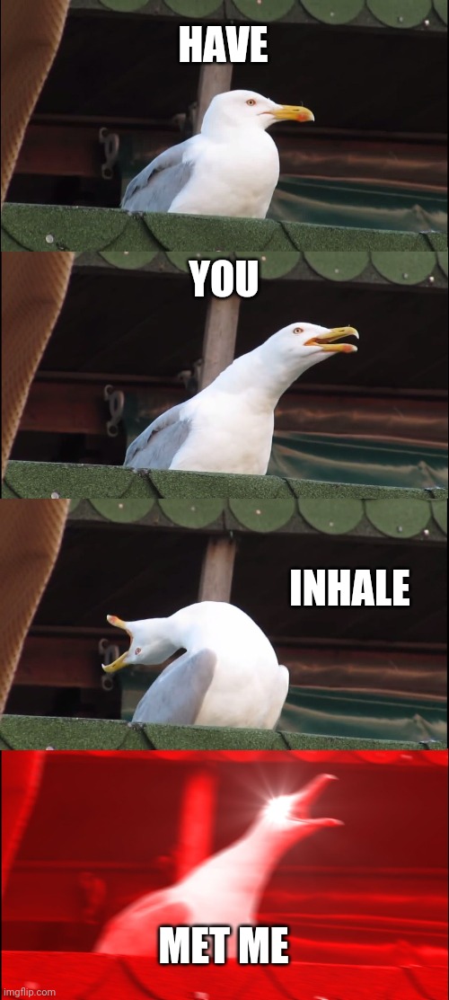 Inhaling Seagull Meme | HAVE YOU INHALE MET ME | image tagged in memes,inhaling seagull | made w/ Imgflip meme maker
