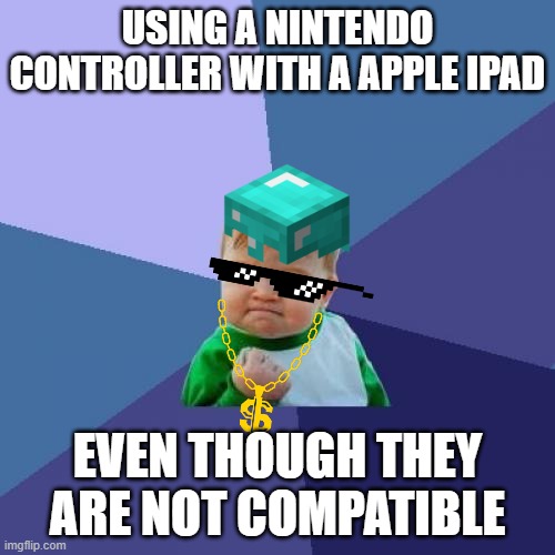 google it if you dont believe it | USING A NINTENDO CONTROLLER WITH A APPLE IPAD; EVEN THOUGH THEY ARE NOT COMPATIBLE | image tagged in memes,success kid | made w/ Imgflip meme maker
