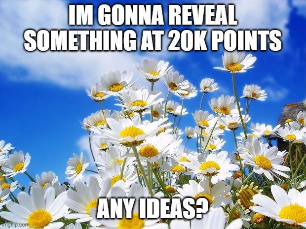 spring daisy flowers | IM GONNA REVEAL SOMETHING AT 20K POINTS; ANY IDEAS? | image tagged in spring daisy flowers | made w/ Imgflip meme maker